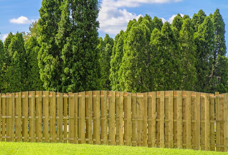 Privacy Fence Replacement